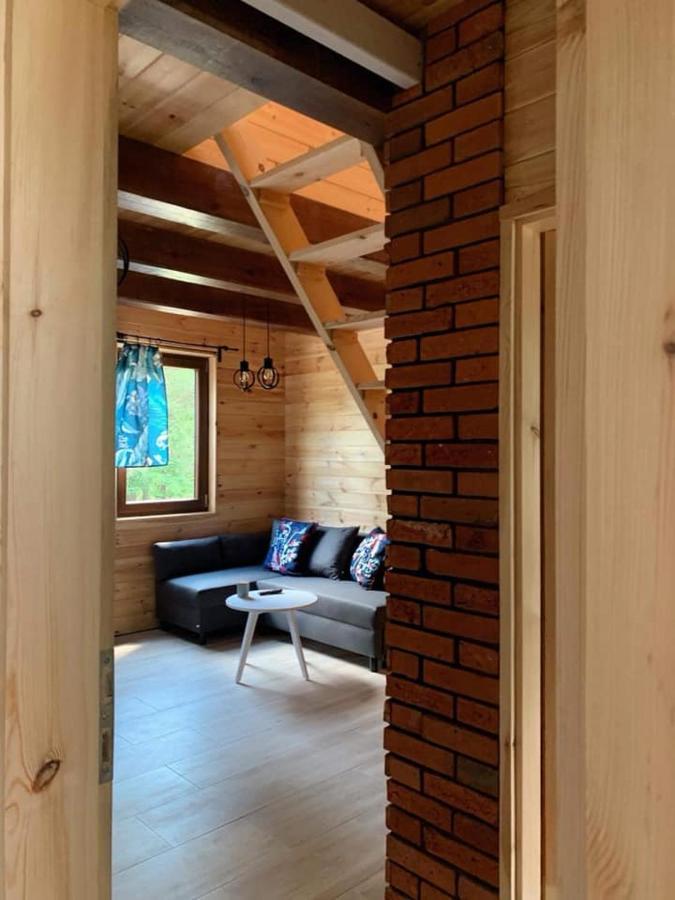 Nad Czarna Villa Sielpia Wielka Dış mekan fotoğraf