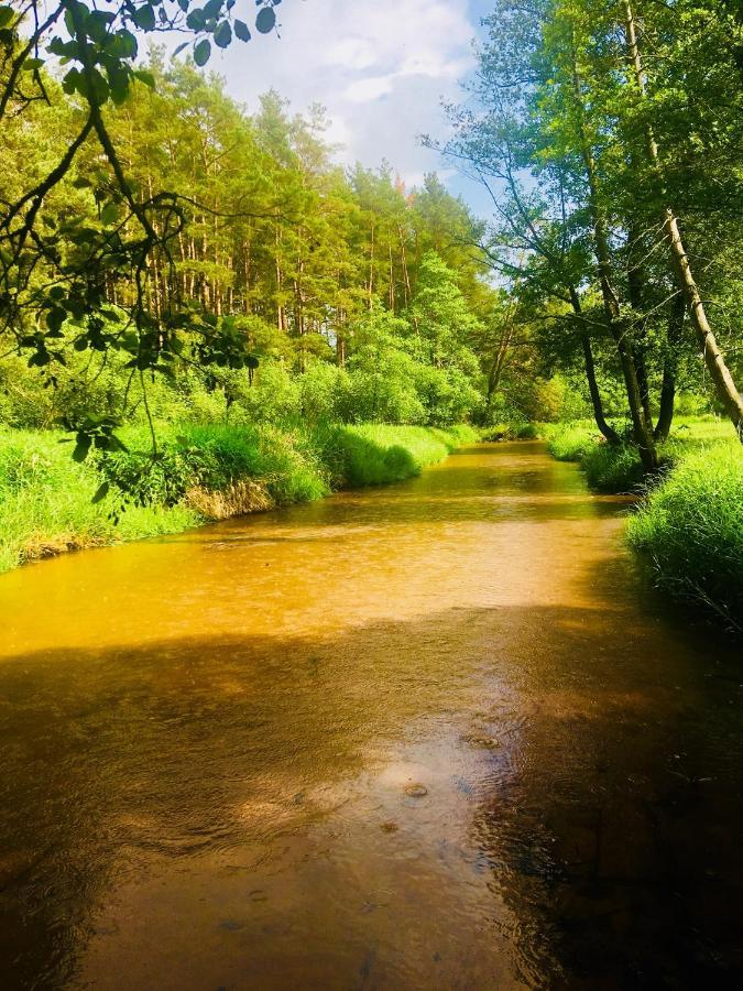 Nad Czarna Villa Sielpia Wielka Dış mekan fotoğraf