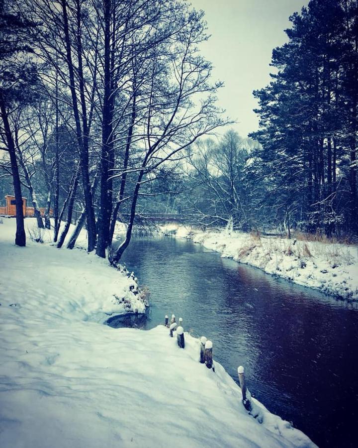 Nad Czarna Villa Sielpia Wielka Dış mekan fotoğraf